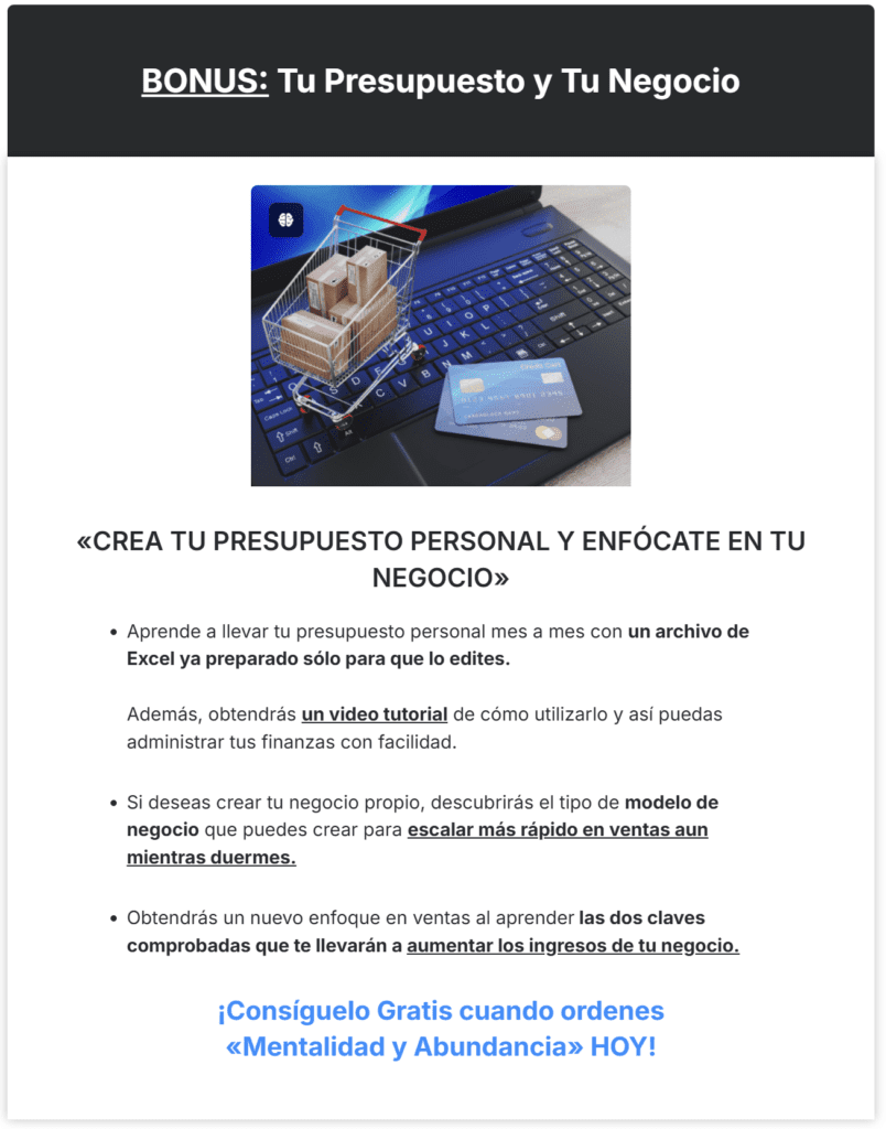 Bonus: crea tu presupuesto personal y enfócate en tu negocio